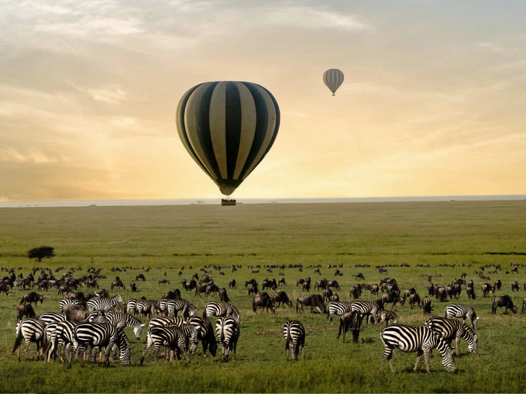 Serengeti Balloon Safari